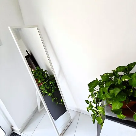 Apartment Contemporary St Julians Comfort Saint Julian's